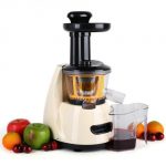 Slow Juicer Bestseller